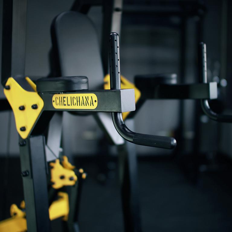 Power Tower Free Weight Assisted